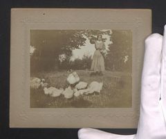 Fotografie junges Mädchen füttert die 