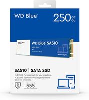 Western Digital Blue SA510 250GB M.2