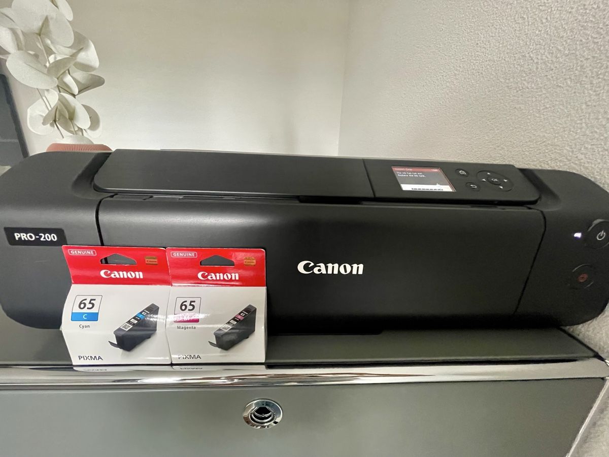 Canon Pixma Pro-200 inkl. Cyan und Magenta (Gebraucht) in Wallisellen ...