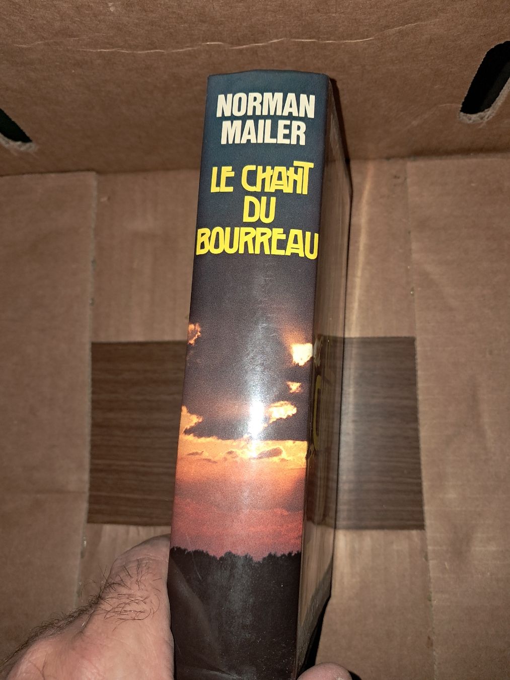 Bücher: Le Chant du bourreau Roman de Norman Mailer – Gebraucht aus Le locle von juliensaran 3