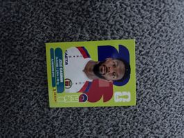 Panini Sticker HAI 16, WM 2026