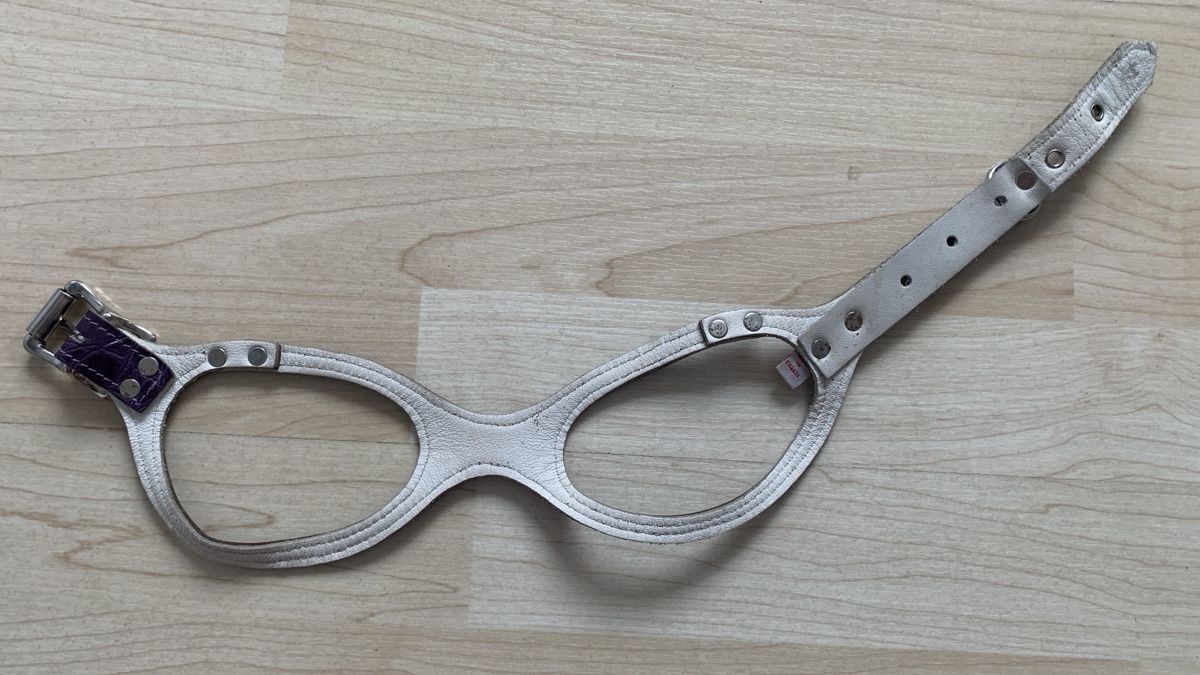 Guinzagli & Collari: Buddy Belt violett Gr. 4 – Usato da Walenstadt venduto da Smokyboy 1