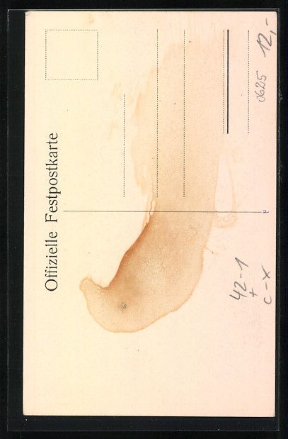 Cartoline postali: Zofingen, Aargauisches Kantonal-Schütze – Usato da Berlin venduto da bartko-reher 1