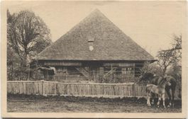 LANDWIRTSCHAFT/BAUERNHAUS 1920 mit Pferd+Fohlen Bern