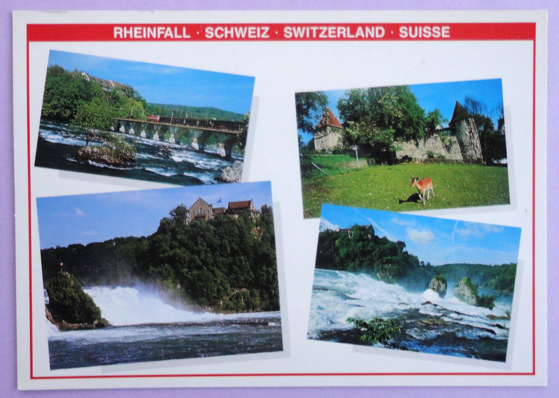 Cartoline postali: Rheinfall – Usato da Fétigny venduto da Billy2miny