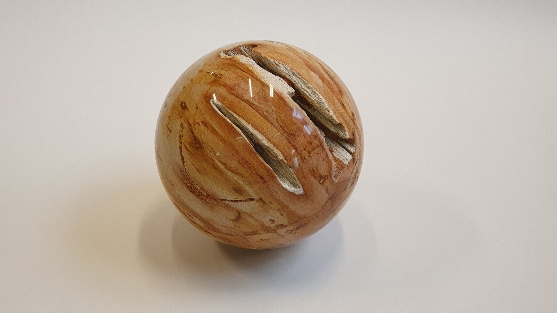 Mineralien & Heilsteine: Versteinertes Holz, polierte Kugel 140 mm – Neu (gemäss Beschreibung) aus Dürnten von stefanverkauft 2