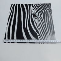 3 Bilder