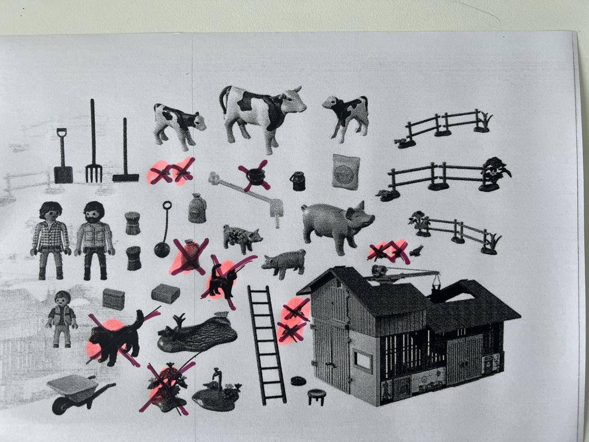 Playmobil Giocattoli: Playmobil Bauernhof 71304 – Usato da Zuchwil venduto da Tommy6 3