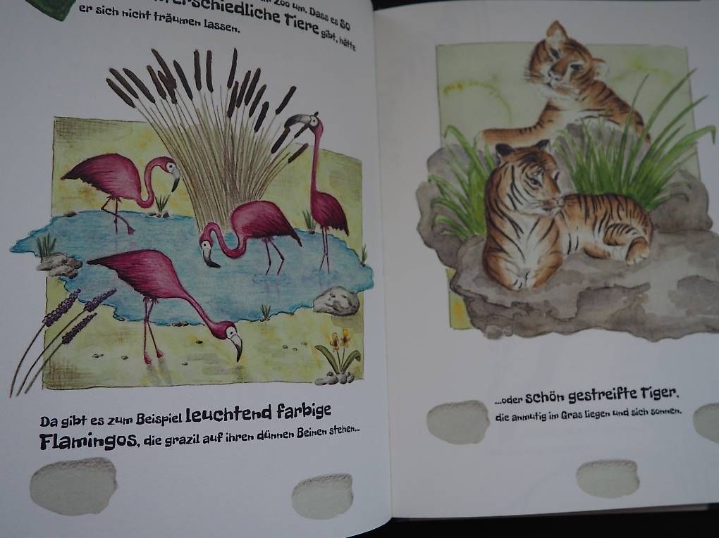 Bücher: Kinderbuch KOAMI,eine Elefantengeschichte,farbig illustriert – Gebraucht aus Basel von Renato_hirzi 2