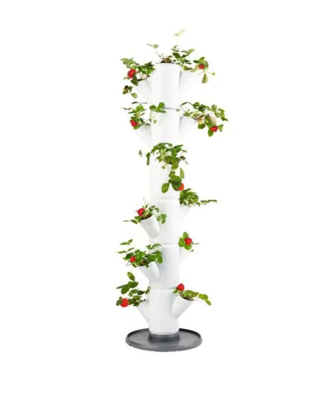 Vasi per fiori: Vertikales Erdbeerbeet – Nuovo (secondo la descrizione) da Ebikon venduto da val_w5jm
