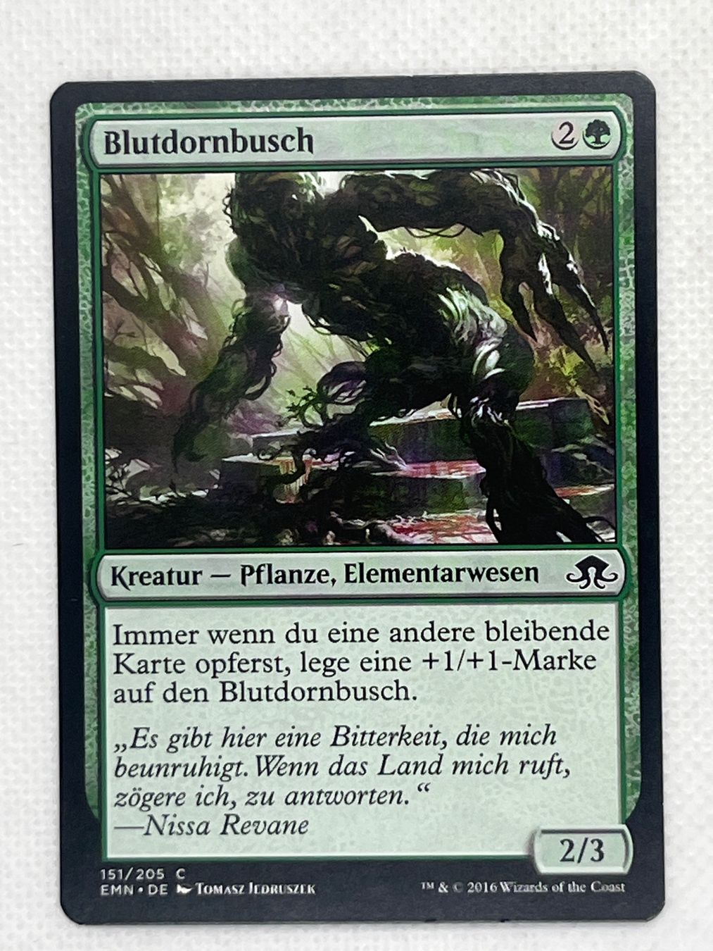 Magic The Gathering Carte collezionabili: Magic the Gathering Einzelkarte: Blutdornbusch, Near Mint – Usato da Hinterkappelen venduto da Kim1992