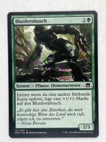 Magic the Gathering Einzelkarte: Blutdornbusch, Near Mint