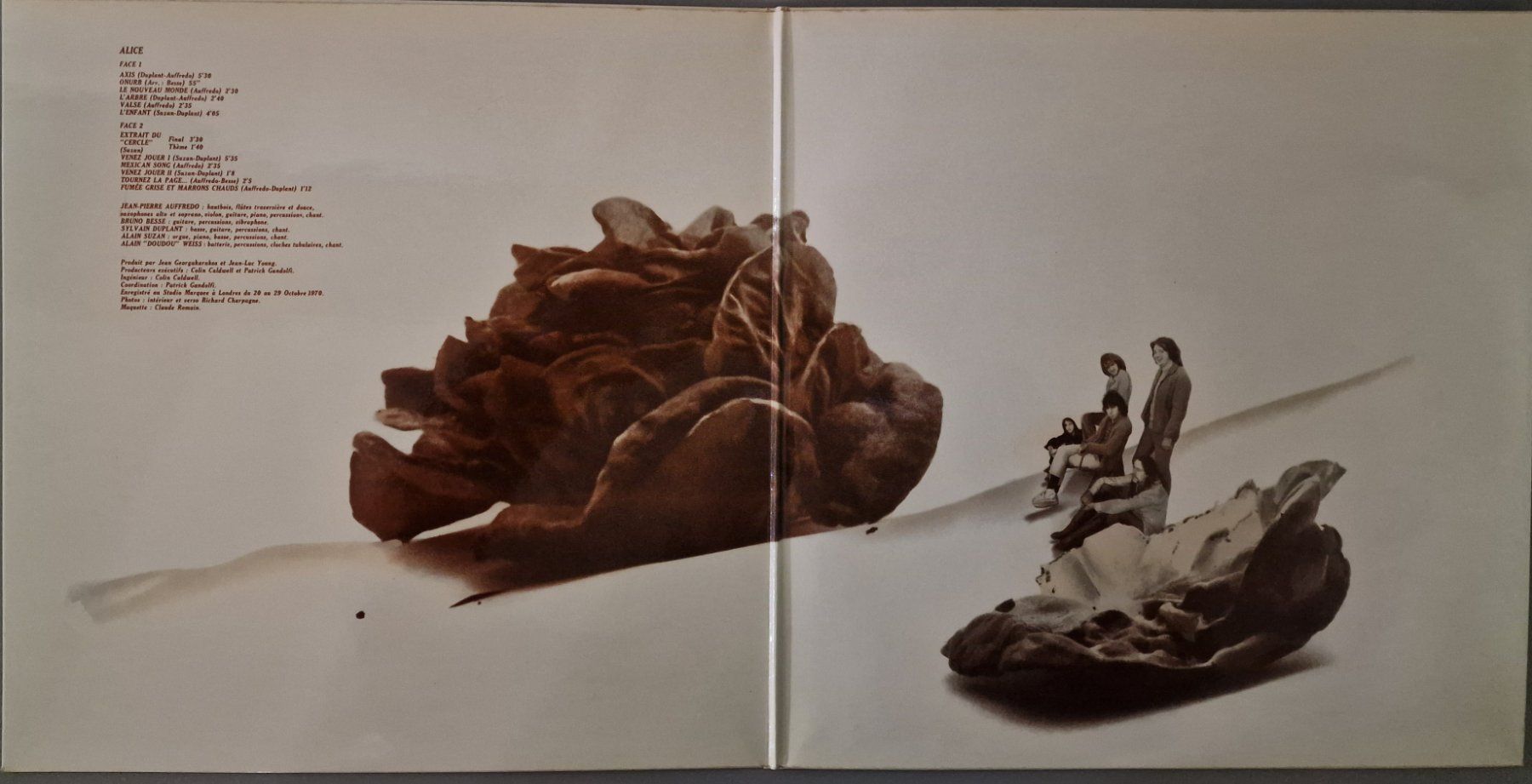Dischi in vinile: Alice LP – Alice – Usato da Root venduto da atelier22 1