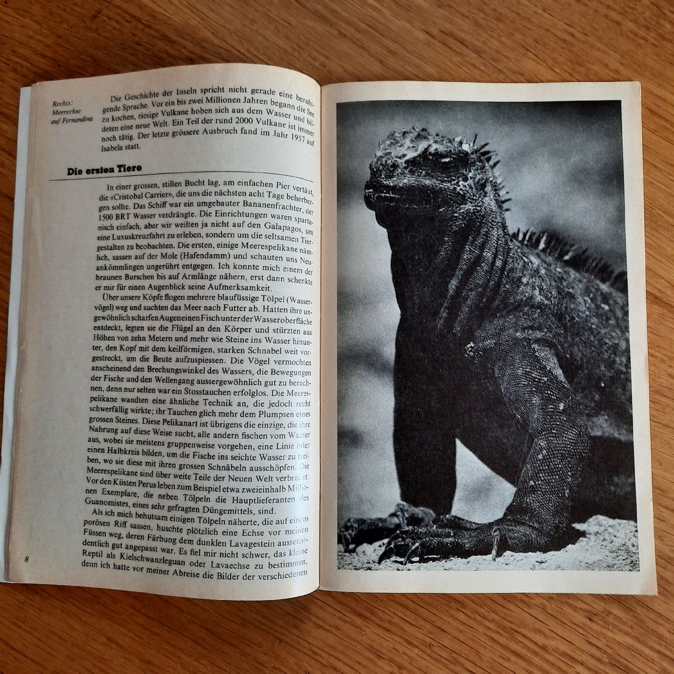 Riviste & Magazine: SJW Heft Nr.1219 Galapagos – Usato da Nottwil venduto da mar_jqm7 4