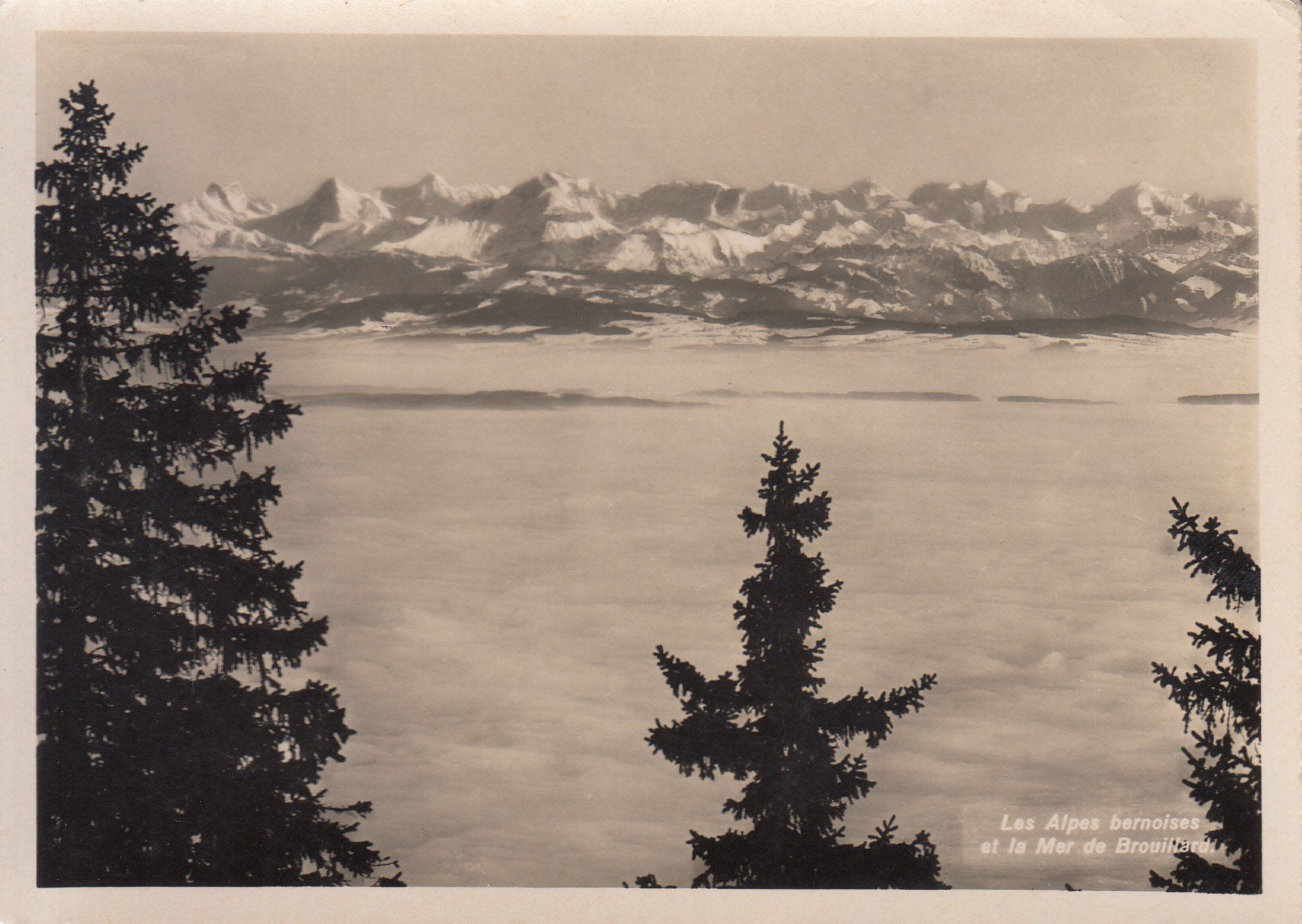 Ansichtskarten: Berner Alpen Nebelmeer ca. 1940 – Gebraucht aus Bürglen TG von StampGraf