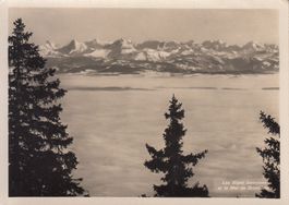 Berner Alpen Nebelmeer ca. 1940
