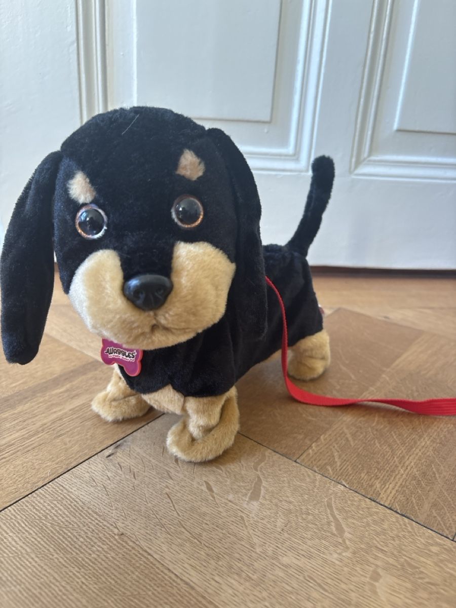 Giocattoli: AniMagic Hund – Usato da Bern venduto da 24Sonne24