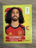 Panini Fifa ESP 8