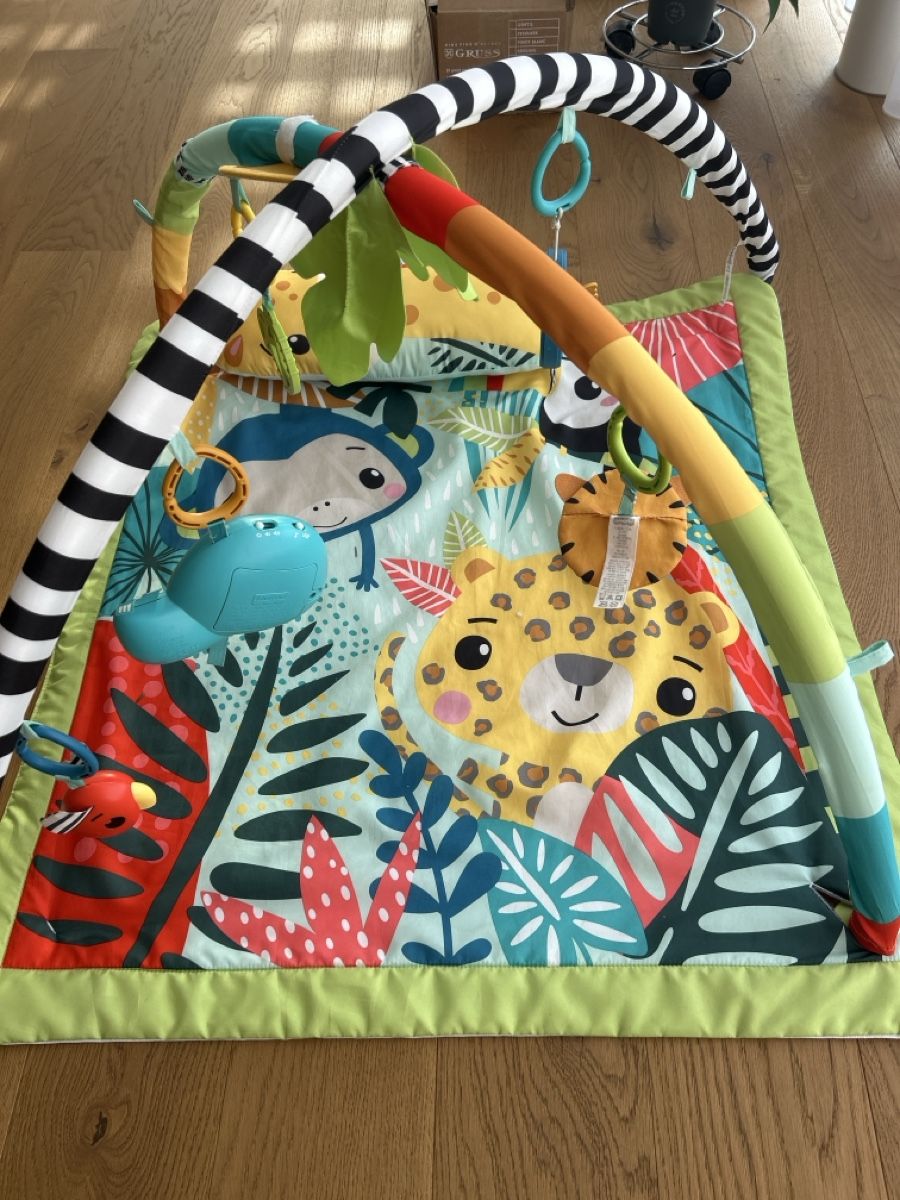 Fisher-Price Tappeto da gioco: Fisher Price Sensorische Erlebnisdecke – Usato da Birmenstorf AG venduto da Reninata 1