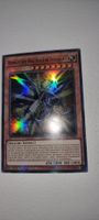 Yugioh  Himmlischer Drachenherr Fellgrant