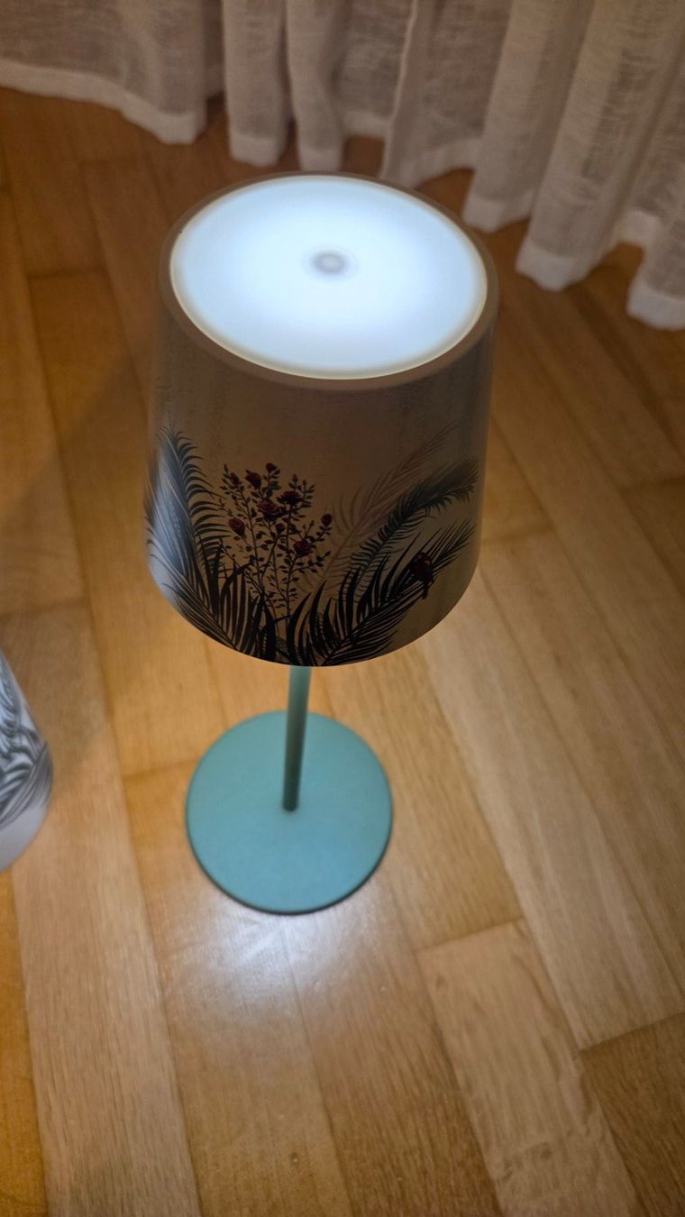 Lampade: USB.C-Tischlampe Alea Dulac PM Palma – Nuovo e nell'imballaggio originale da Uitikon Waldegg venduto da UitiZH 2