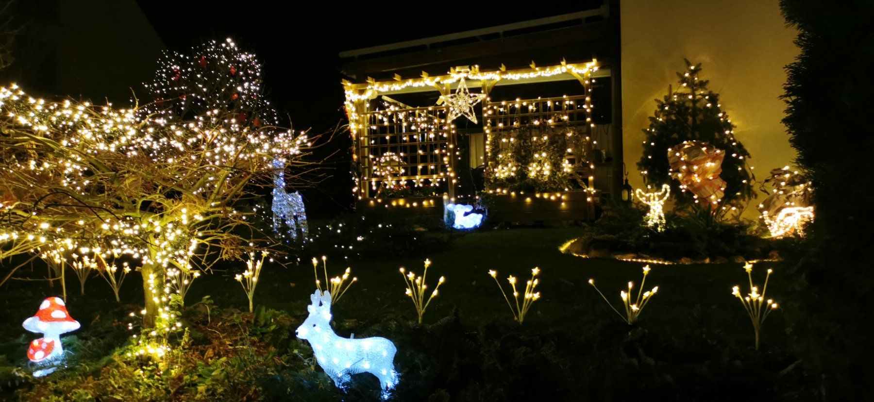 Tutte le decorazioni: Weihnachtsdeko aussen – Usato da Kefikon TG venduto da msa_7zdv 3
