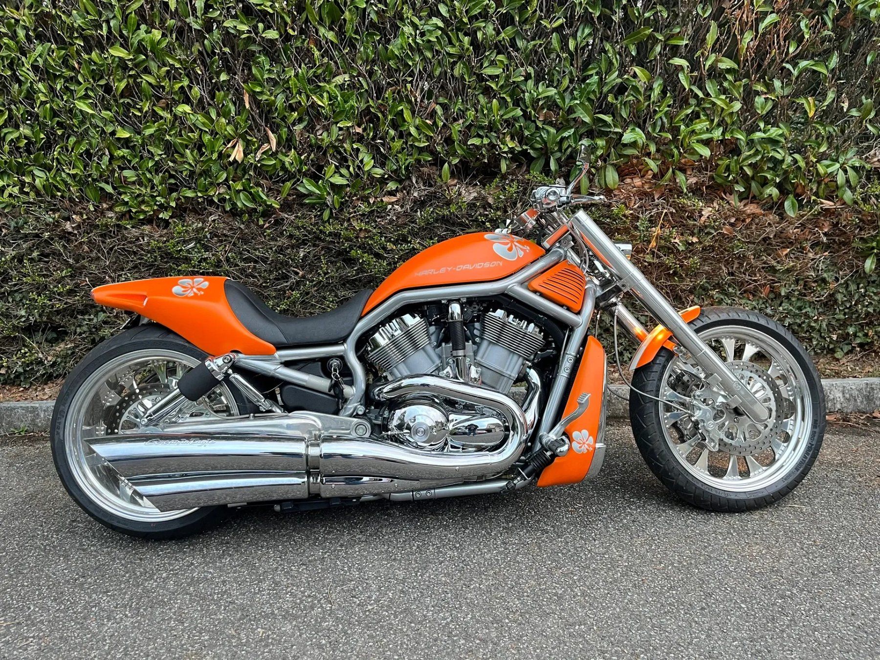Harley-Davidson Tutti i ricambio per moto: Harley-Davidson V-Rod Custom Umbau-Kit / Bodykit – Usato da Wetzikon ZH venduto da SLCMotorbike 7