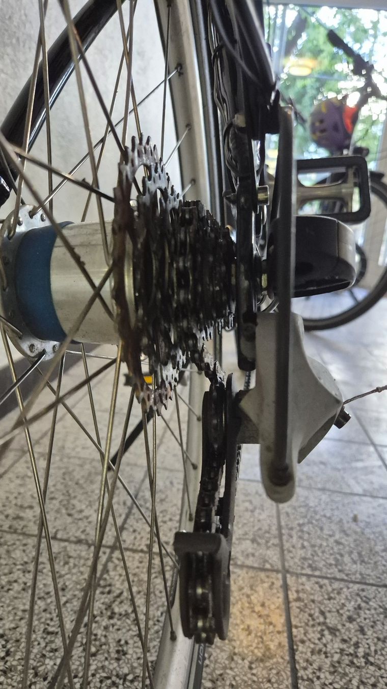 Villiger Biciclette: Velo mit tiefem Einstieg / vélo à entrée basse – Usato da Basel venduto da Cellostoffeli 6