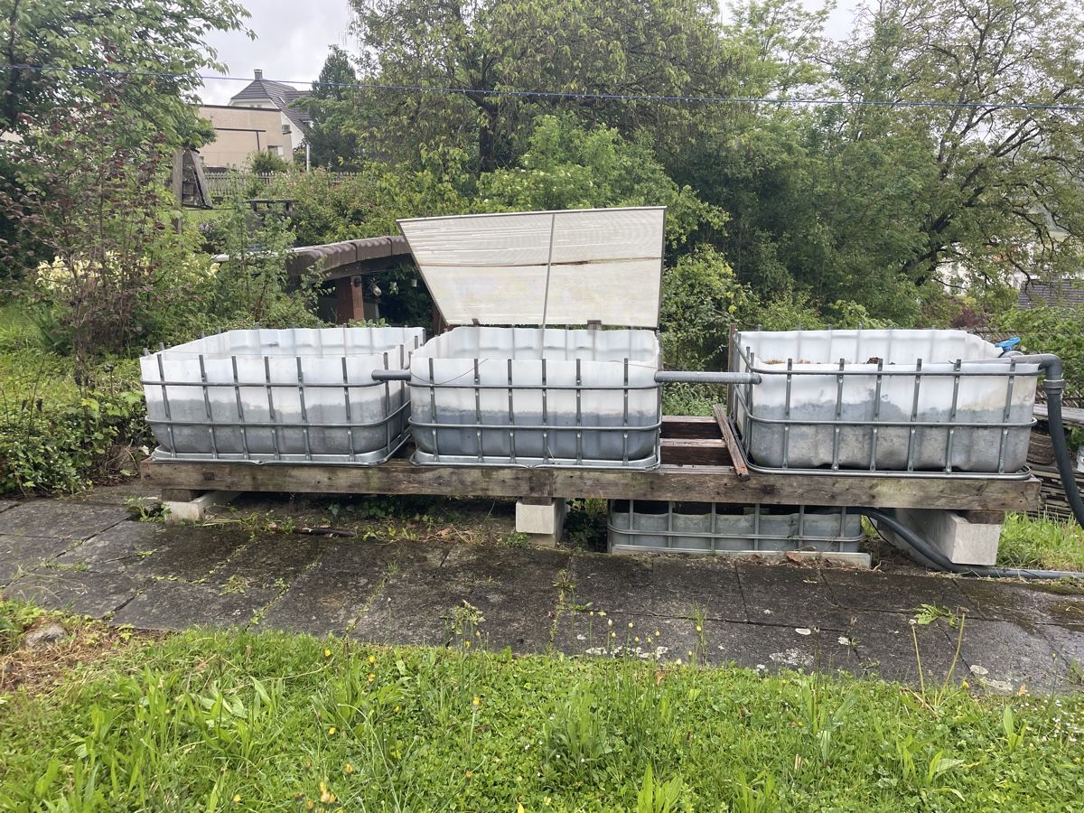 Altro: Aquaponic Anlage – Usato da Möriken AG venduto da Sammler06 4