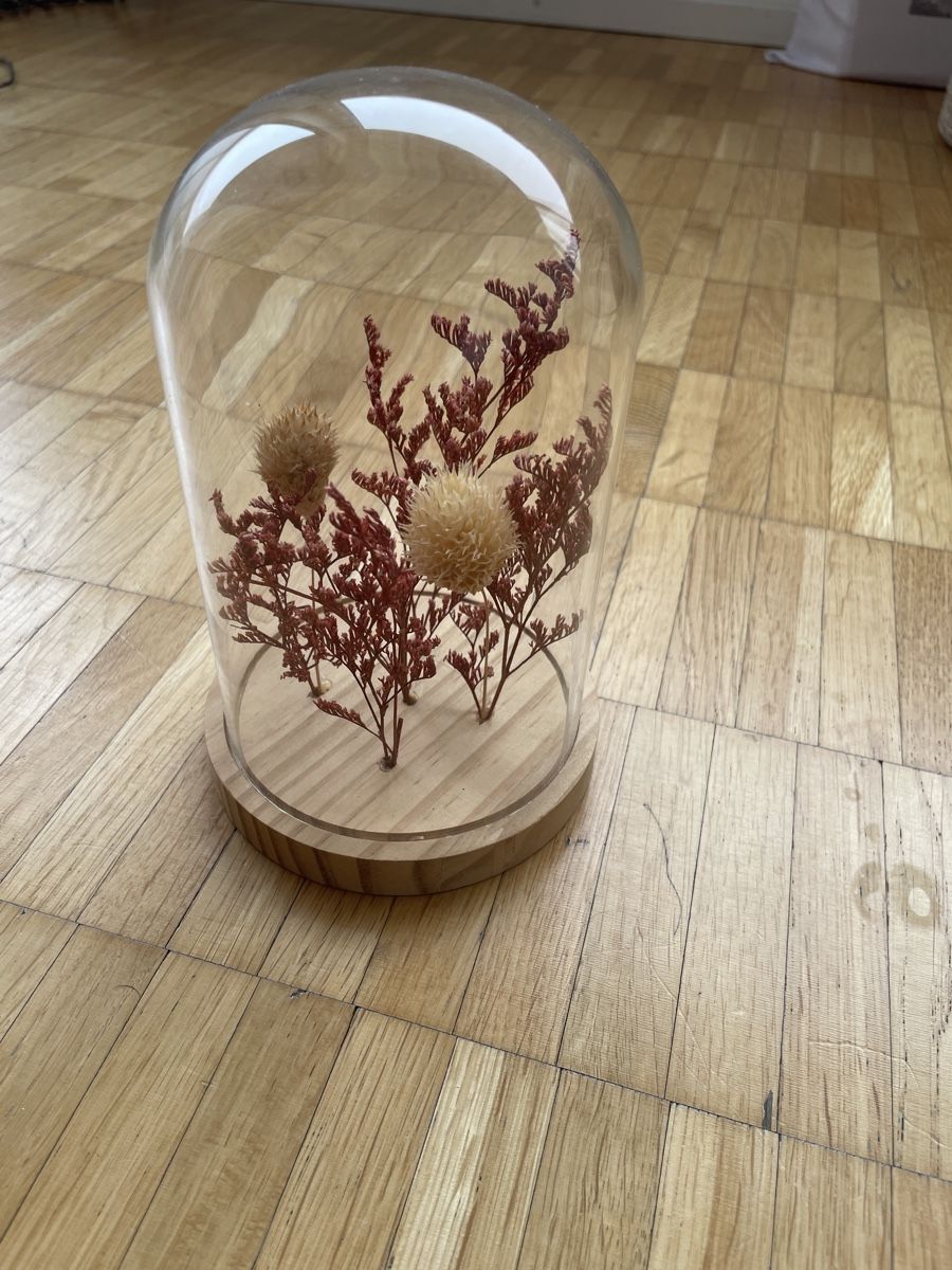 Tutte le decorazioni: Bundle if 10 Decorative items – Usato da Neuchatel venduto da shi_9fzw