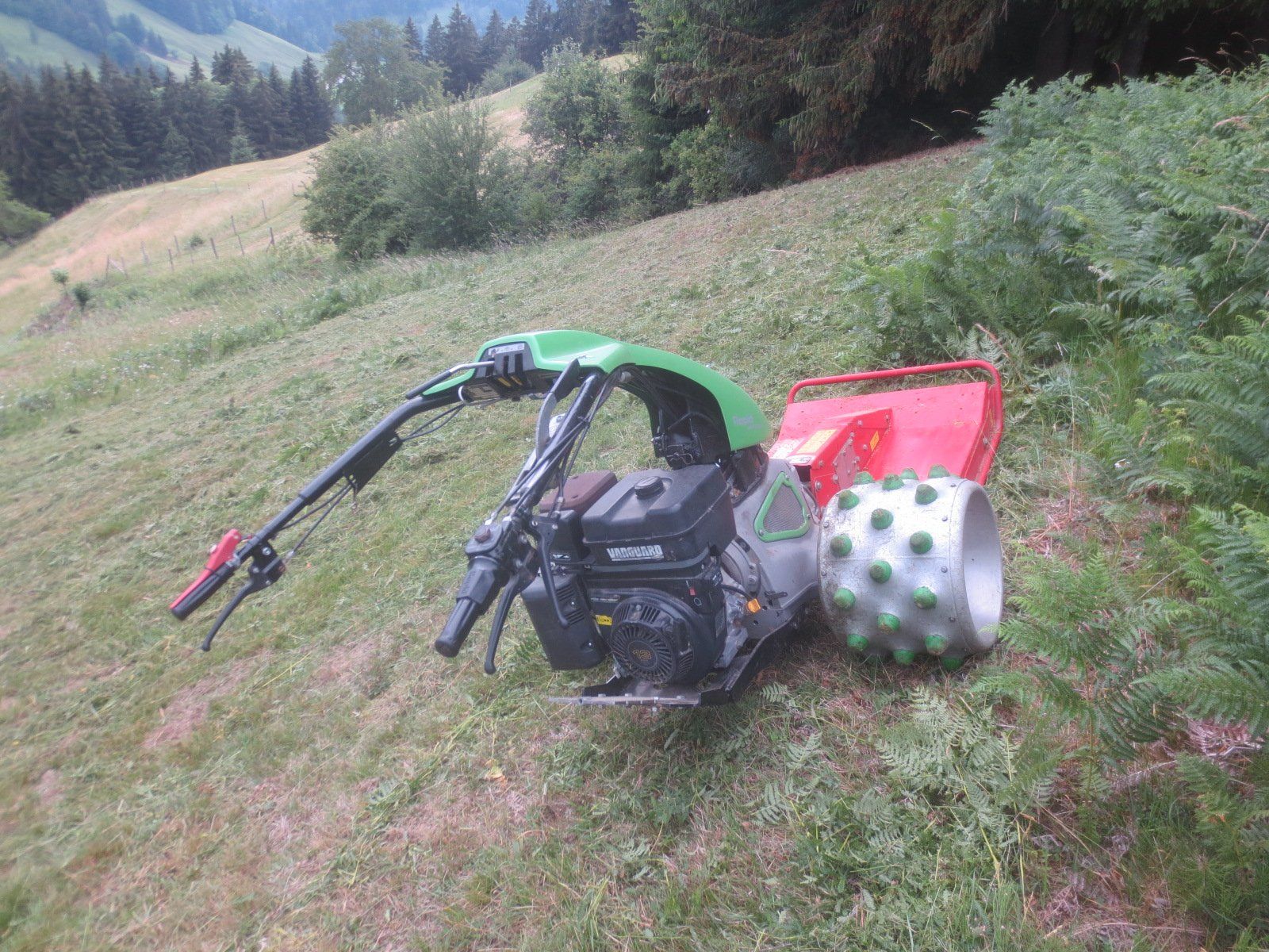 Rapid Tutte le macchine: Rapid Mäher – Usato da Guggisberg venduto da Zorro120 3