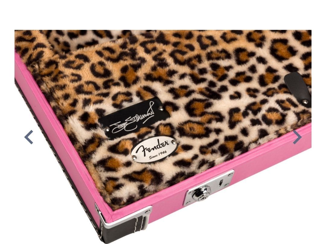 Fender Strumenti musicali: JOE STRUMMER GUITAR CASE FABRIKNEU !!! – Nuovo e nell'imballaggio originale da Zürich venduto da Antiquedealer 2