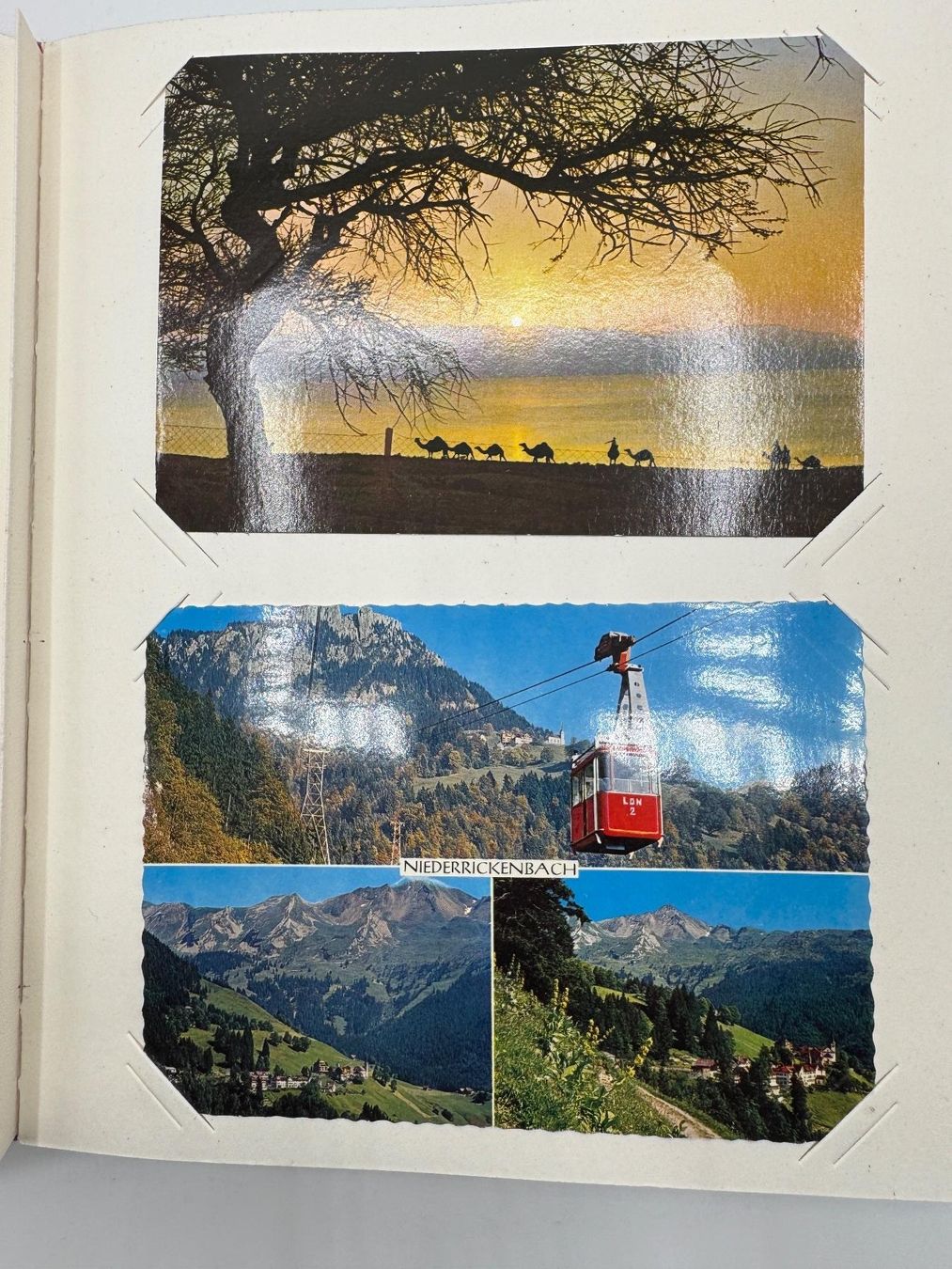 Album: Photoalbum – Usato da Sachseln venduto da BONATI01 4