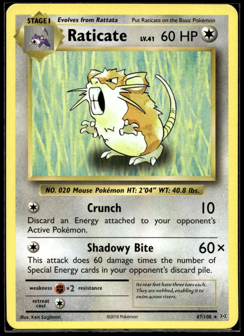Pokémon Sammelbilder & Trading cards: Raticate (EVO EN 67/108) – Neu (gemäss Beschreibung) aus Affoltern am Albis von Chiesa_5