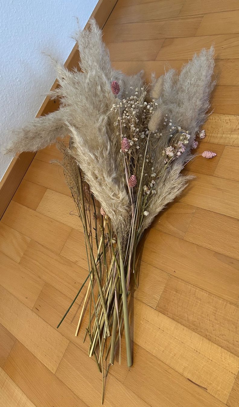 Tutte le decorazioni: Trockenblumen – Usato da Rodersdorf venduto da theysee 1