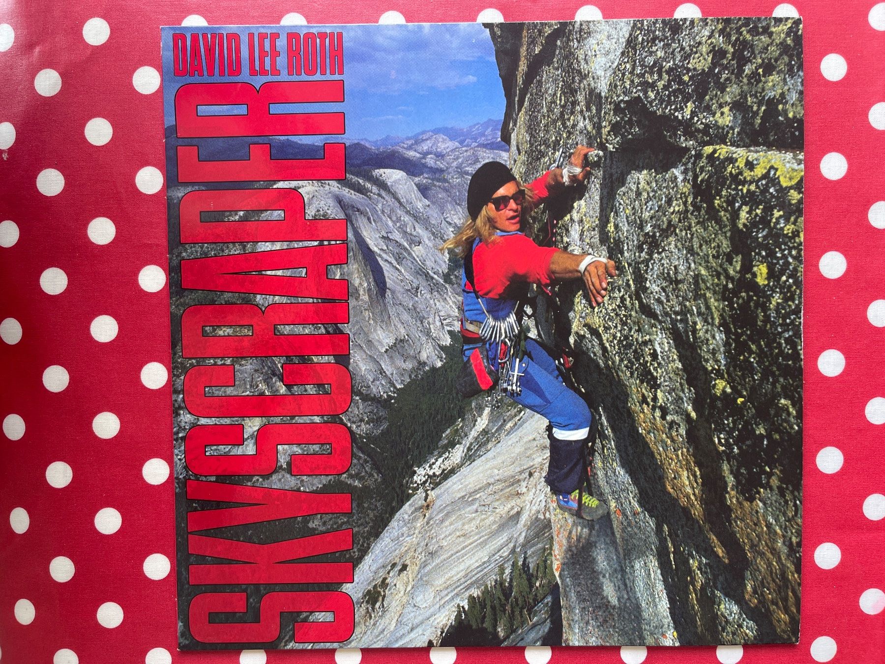 Vinyles: A559/David Lee Roth - Skyscraper – D'occasion à Frutigen par Philippe_jsp