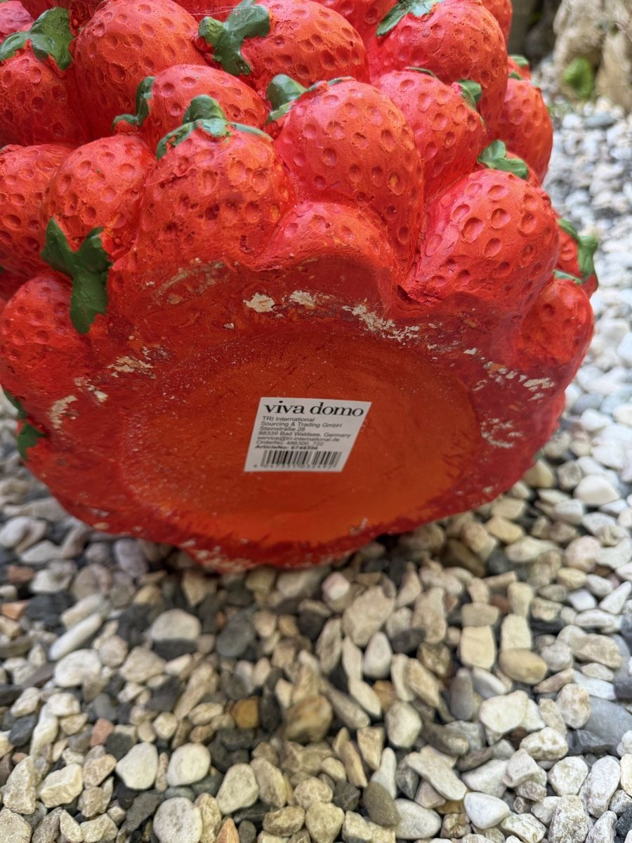 Blumentöpfe: Dekorativer Blumentopf  – Gebraucht aus Pfäffikon ZH von lenaviktoria 3