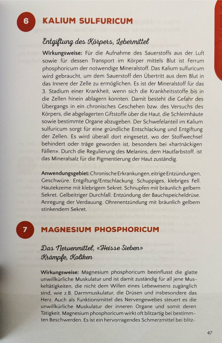 Bücher: Grafe Helga, Schüssler Salze ...... tierisch gut – Gebraucht aus Sarnen von Livres 8