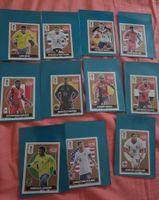 Panini Extra Stickers Rares