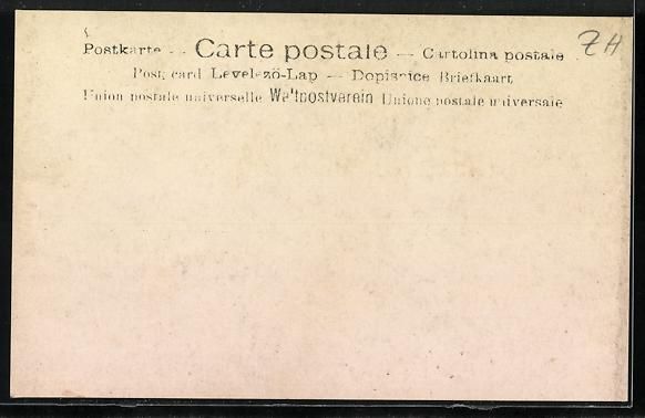 Cartoline postali: Wädenswil, Musikfest 1908, Grosses Orch – Usato da Berlin venduto da bartko-reher 1