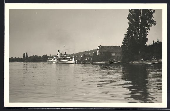 Cartoline postali: AK Erlenbach, Dampfer Stadt Rapperswil – Usato da Berlin venduto da bartko-reher