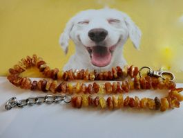 Hunde -Bernsteinkette/Amber/Ambre  präsentiert von Tesoro