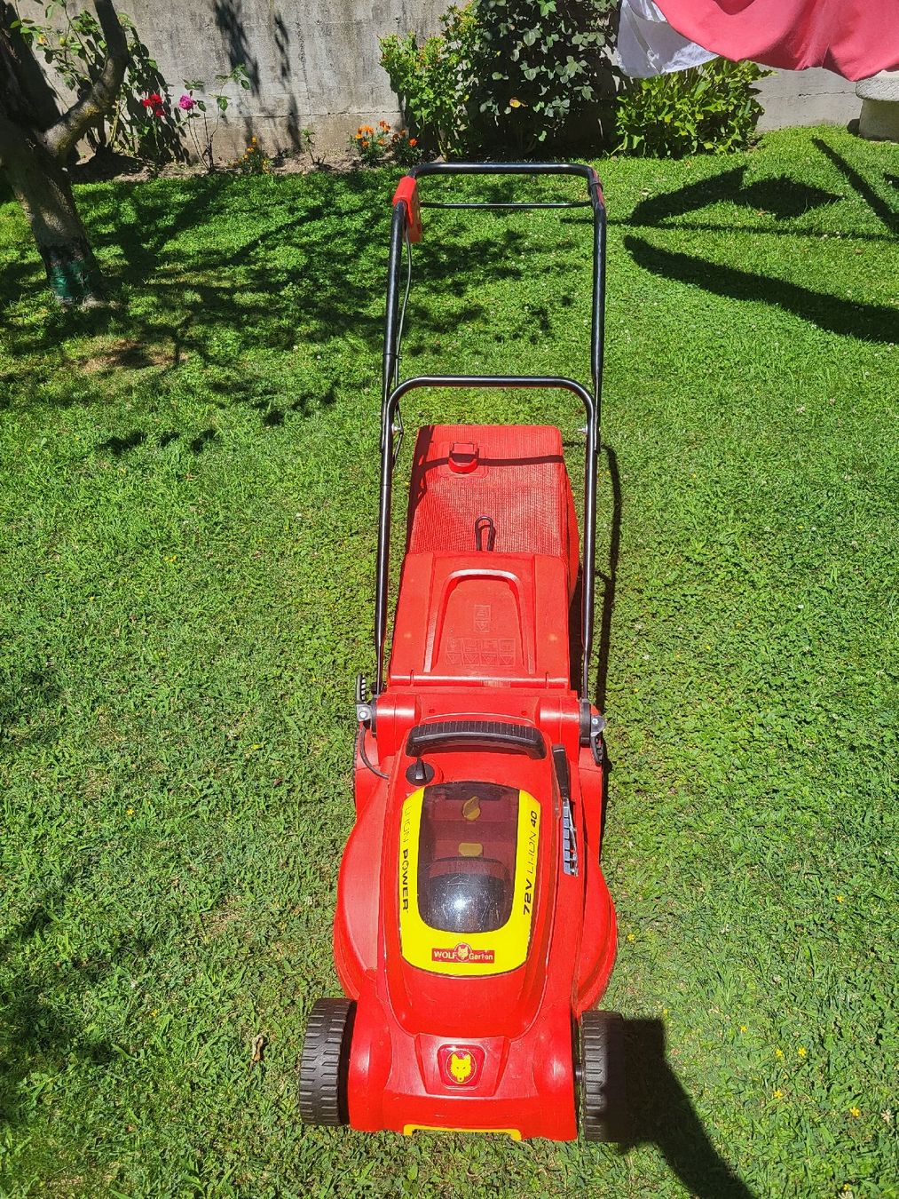 Wolf Garten Tagliaerba: Tosaerba elettrico – Usato da sementina venduto da Dani142