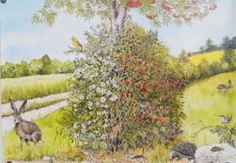 Plakat „Biodiversität und Lebensräume – Hecke“ (2007)