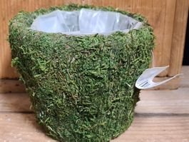 Moos Blumentopf für Dekoration H 10.5x Ø 12.5