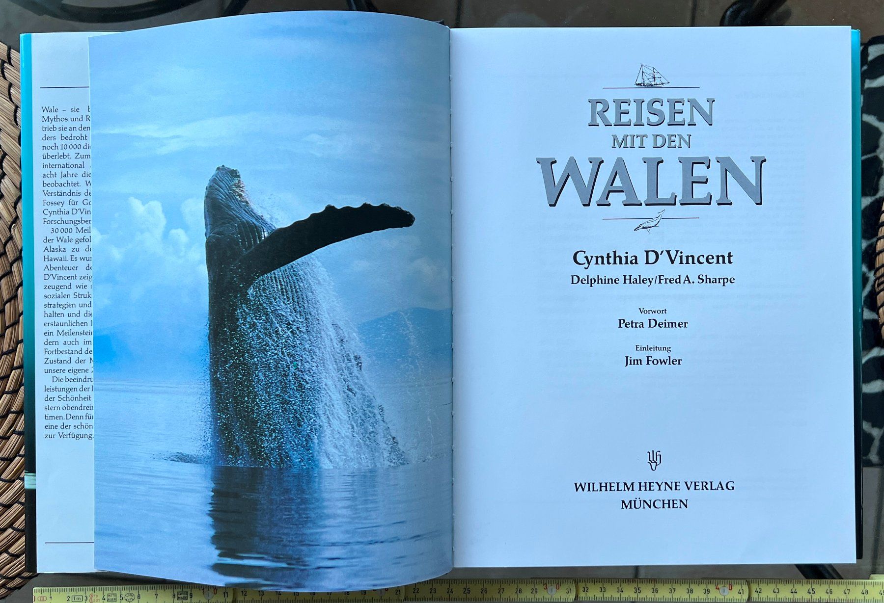 Libri: Buch Reisen mit den Walen – Usato da Lodrino venduto da Stema 2