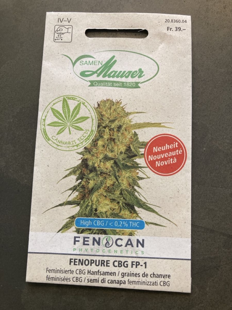 Piante & sementi: CBD Samen Maurer – Nuovo e nell'imballaggio originale da Winterthur venduto da ele_ct6p