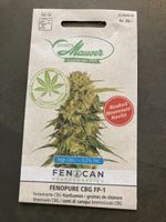 CBD Samen Maurer