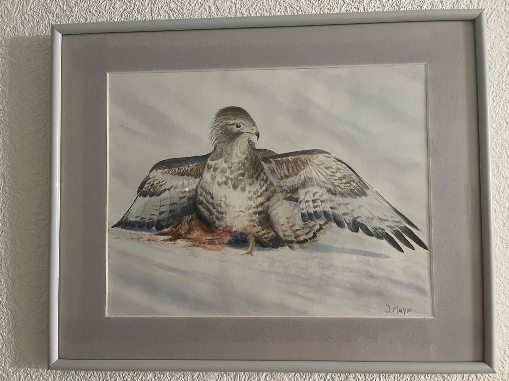 Dipinti: Aquarelle – Usato da Chevroux venduto da ateca2017 2