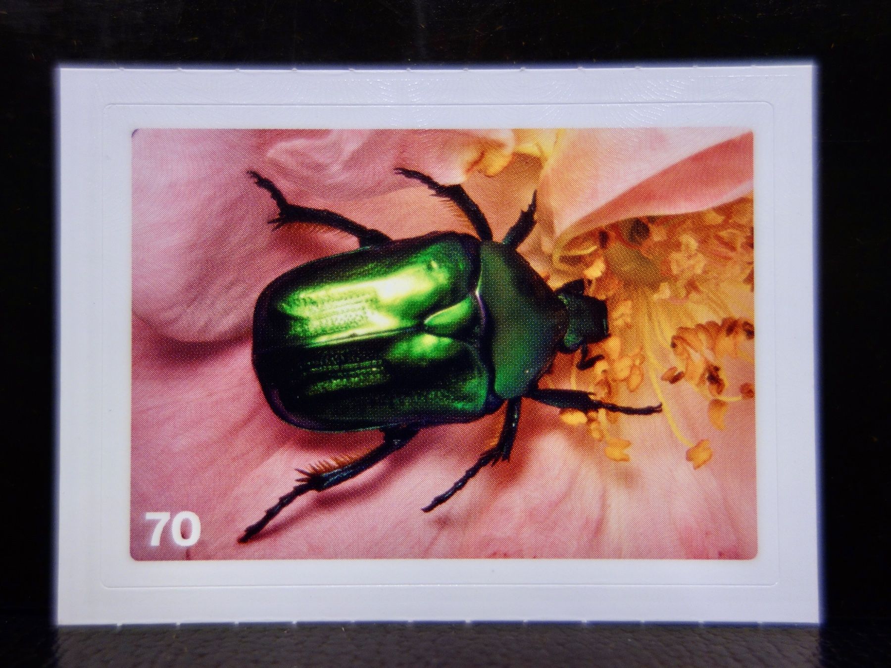 Migros Cartes à collectionner: MIGROS MANIA Nature Detectives Nr. 70 – D'occasion à Kerzers par djstarsky73